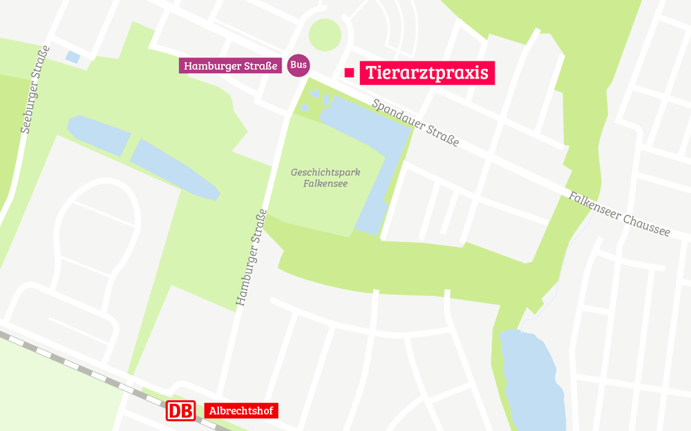 Lageplan zur Tierarztpraxis Dr. Buttgereit & Dr. Muche in Falkensee in der Spandauer Straße